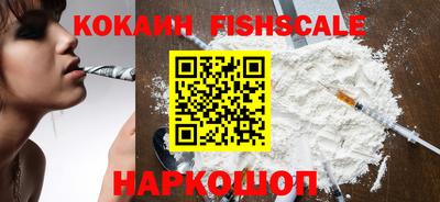 a pvp Кингисепп