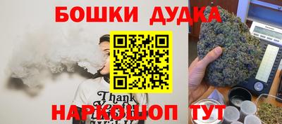 a pvp Кингисепп