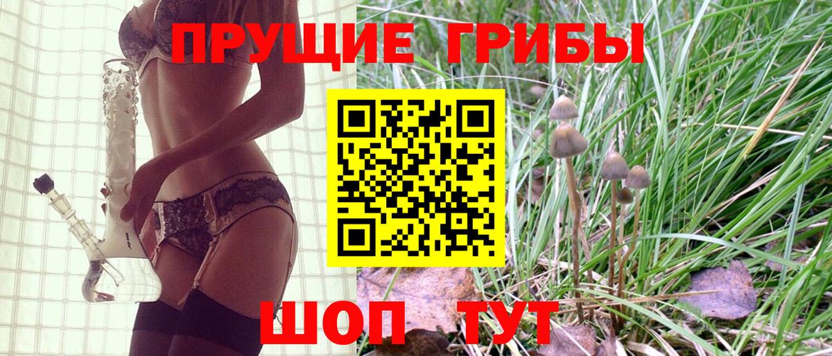 где найти   Вход с VPN  Галлюциногенные грибы GOLDEN TEACHER  Керчь  Галлюциногенные грибы прущие грибы 