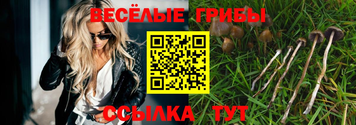 Псилоцибиновые грибы Cubensis Керчь